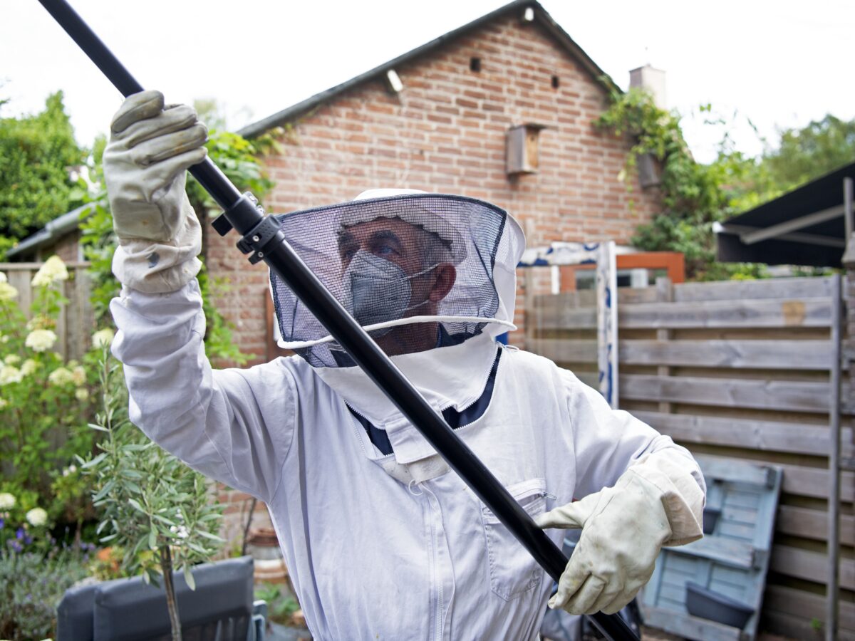 A Bugging Question: Is It Time To Rethink Biological Control?