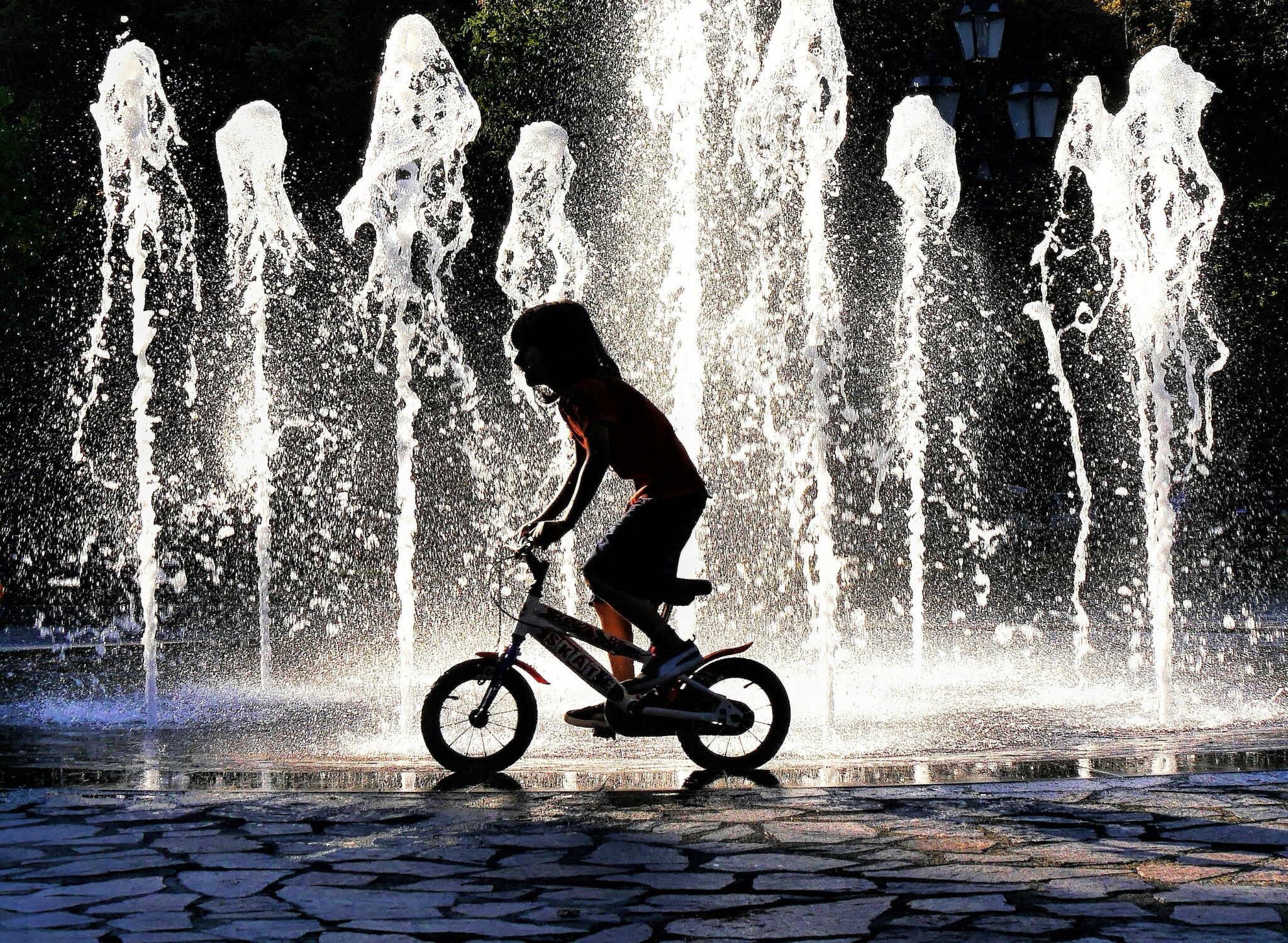 Both Elon Musk And His Italian Critics Miss The Real Demographic Crisis