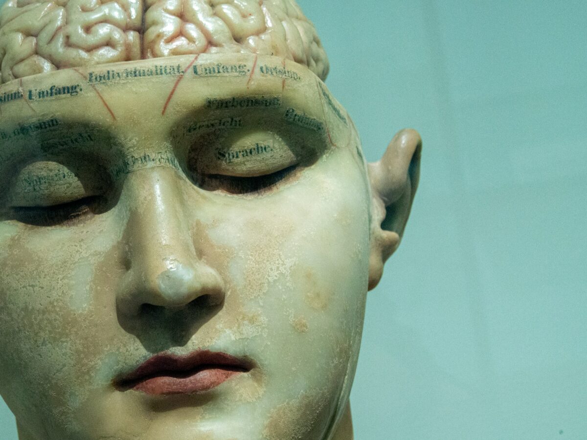 How One Neuroscientist Is Trying to Rewrite the Human Mind