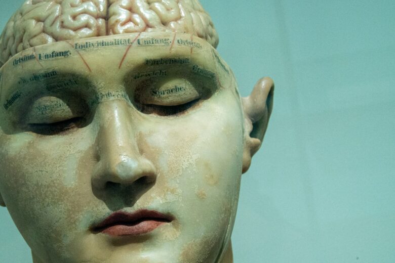 Brain model from the early 20th century.